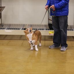 photograph by PeterW